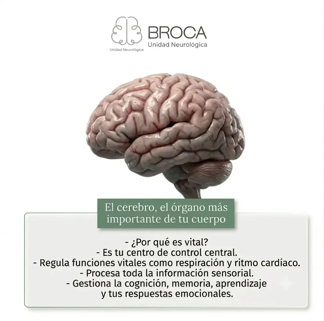 Neurólogo en Armenia particular